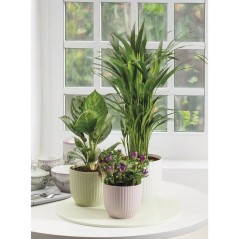 Pot de fleurs rond - DEROMA - 231 - 7 L - Ø 24 cm - Rose