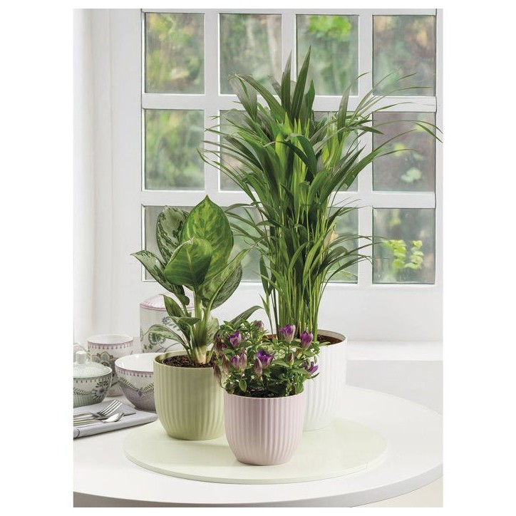 Pot de fleurs rond - DEROMA - 231 - 7 L - Ø 24 cm - Rose Pot de fleurs rond - DEROMA - 231 - 7 L - Ø 24 cm - Rose