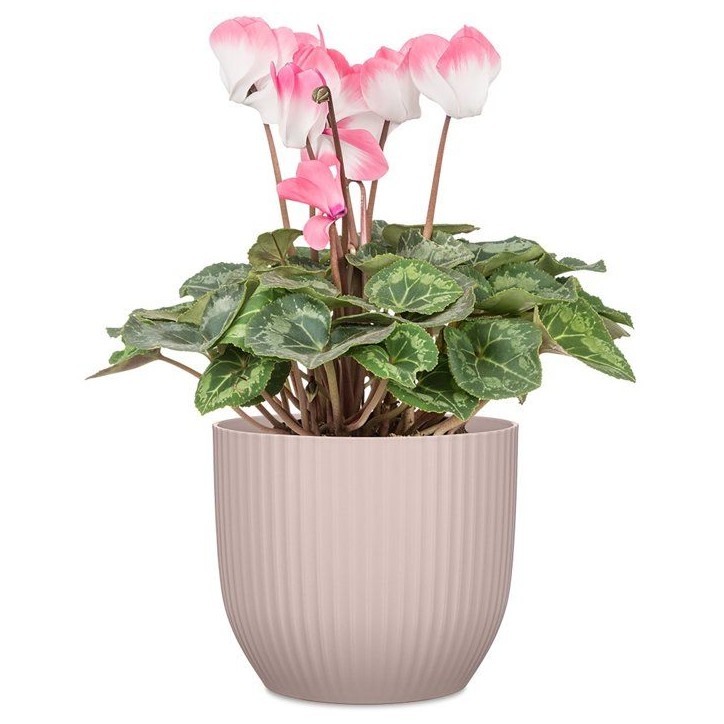 Pot de fleurs rond - DEROMA - 231 - 7 L - Ø 24 cm - Rose Pot de fleurs rond - DEROMA - 231 - 7 L - Ø 24 cm - Rose