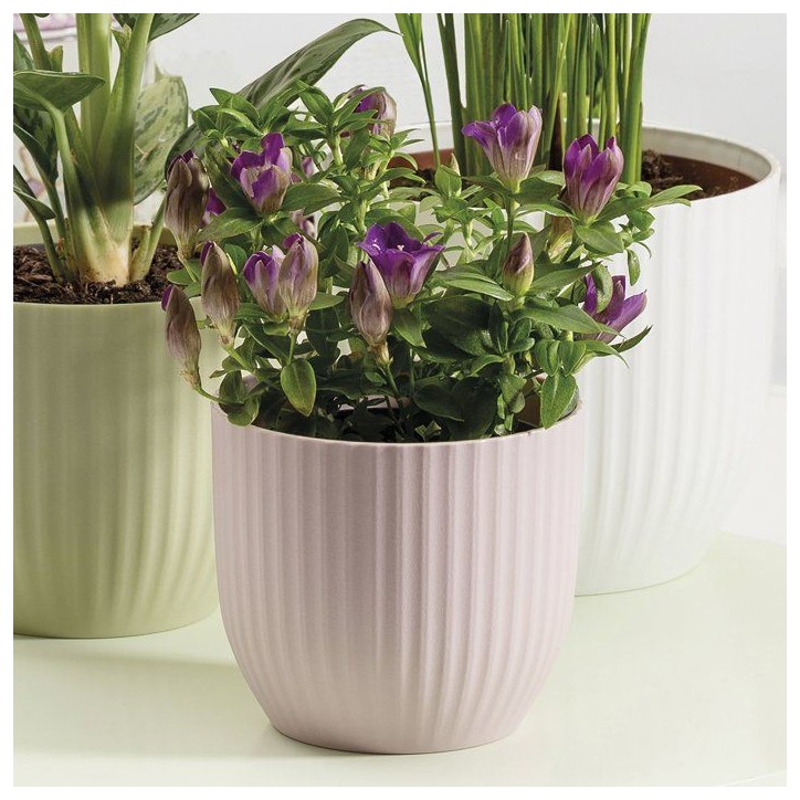 Pot de fleurs rond - DEROMA - 231 - 10 L - Ø 27 cm - Rose Pot de fleurs rond - DEROMA - 231 - 10 L - Ø 27 cm - Rose