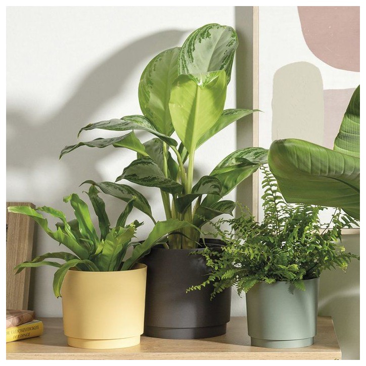 Pot de fleurs rond - DEROMA - 236 - 13 L - Ø 29 cm - Noir Pot de fleurs rond - DEROMA - 236 - 13 L - Ø 29 cm - Noir