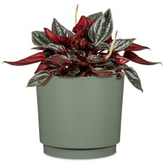Cache-pot rond - GARDEN ID - Plano - Ø 25 - 7 L - H 22 cm - Vert clair