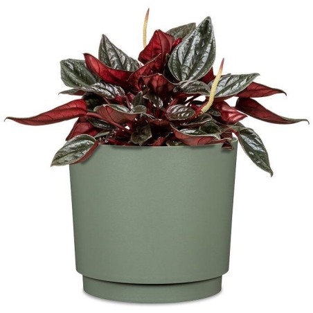 Cache-pot rond - GARDEN ID - Plano - Ø 25 - 7 L - H 22 cm - Vert clair