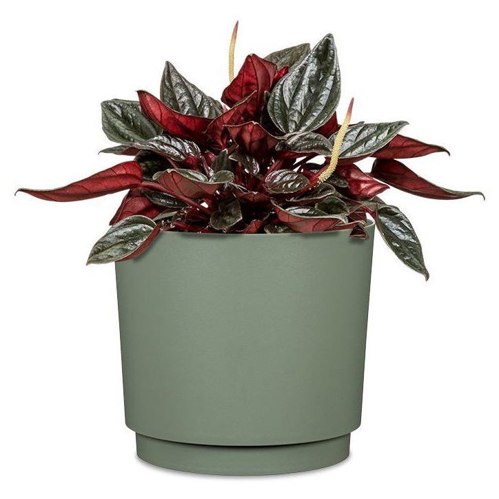 Cache-pot rond - GARDEN ID - Plano - Ø 25 - 7 L - H 22 cm - Vert clair Cache-pot rond - GARDEN ID - Plano - Ø 25 - 7 L - H 22 cm - Vert clair
