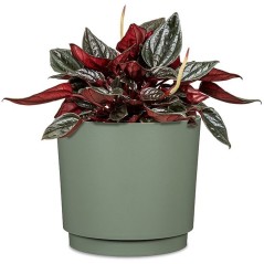 Pot de fleurs rond - DEROMA - 236 - 13 L - Ø 29 cm - Vert