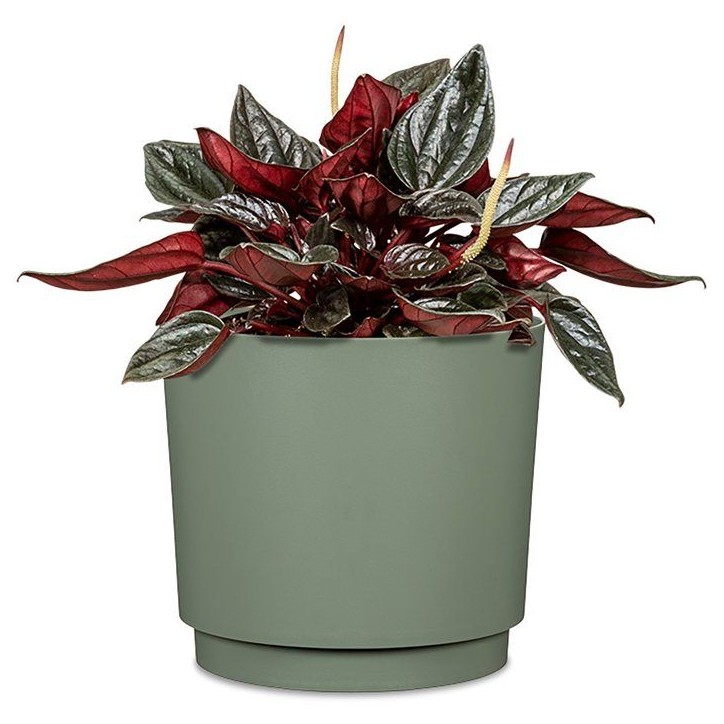 Pot de fleurs rond - DEROMA - 236 - 13 L - Ø 29 cm - Vert Pot de fleurs rond - DEROMA - 236 - 13 L - Ø 29 cm - Vert