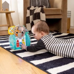 BABY EINSTEIN EARL l'éléphant Jouet d'éveil a roulettes interactif