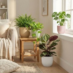 Pot de fleurs rond - DEROMA - 231 - 10 L - Ø 27 cm - Vert