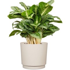 Cache-pot rond - GARDEN ID - Plano - Ø 25 - 7 L - H 22 cm - Blanc chaud