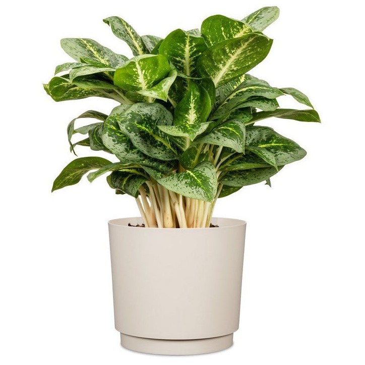 Cache-pot rond - GARDEN ID - Plano - Ø 25 - 7 L - H 22 cm - Blanc chaud Cache-pot rond - GARDEN ID - Plano - Ø 25 - 7 L - H 22 cm - Blanc chaud