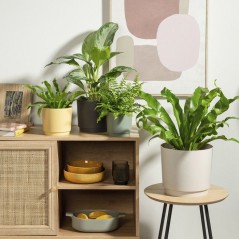 Pot de fleurs rond - DEROMA - 236 - 13 L - Ø 29 cm - Beige