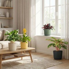 Pot de fleurs rond - DEROMA - 236 - 13 L - Ø 29 cm - Jaune