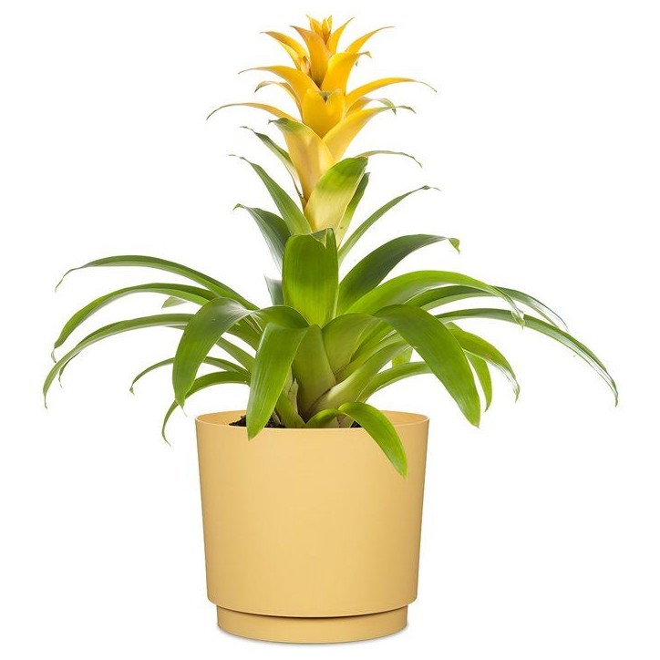Pot de fleurs rond - DEROMA - 236 - 13 L - Ø 29 cm - Jaune Pot de fleurs rond - DEROMA - 236 - 13 L - Ø 29 cm - Jaune