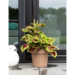 Pot de fleurs avec réserve rond - GARDEN ID - Glamour - Ø 50 - 47 L