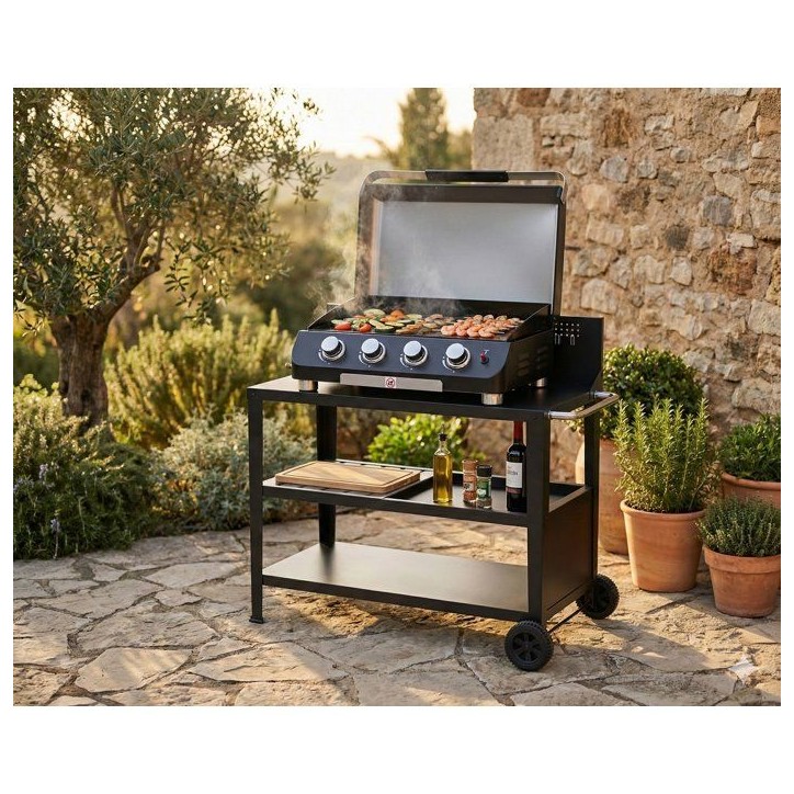 Chariot multifonction - COOKINGBOX - Plateau supérieur : 100 x 50 cm - Poignée - 2 roues arrieres - Acier Chariot multifonction - COOKINGBOX - Plateau supérieur : 100 x 50 cm - Poignée - 2 roues arrieres - Acier