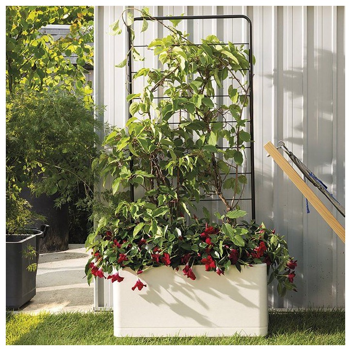 Porte-plantes - DEROMA - Cosmo - 78 x H 163 cm - Métal - Gris Porte-plantes - DEROMA - Cosmo - 78 x H 163 cm - Métal - Gris