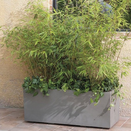 Pot de fleurs rectangulaire - DEROMA - Millennium - 97 L - 99 cm - A réserve d'eau et roulettes - Marron
