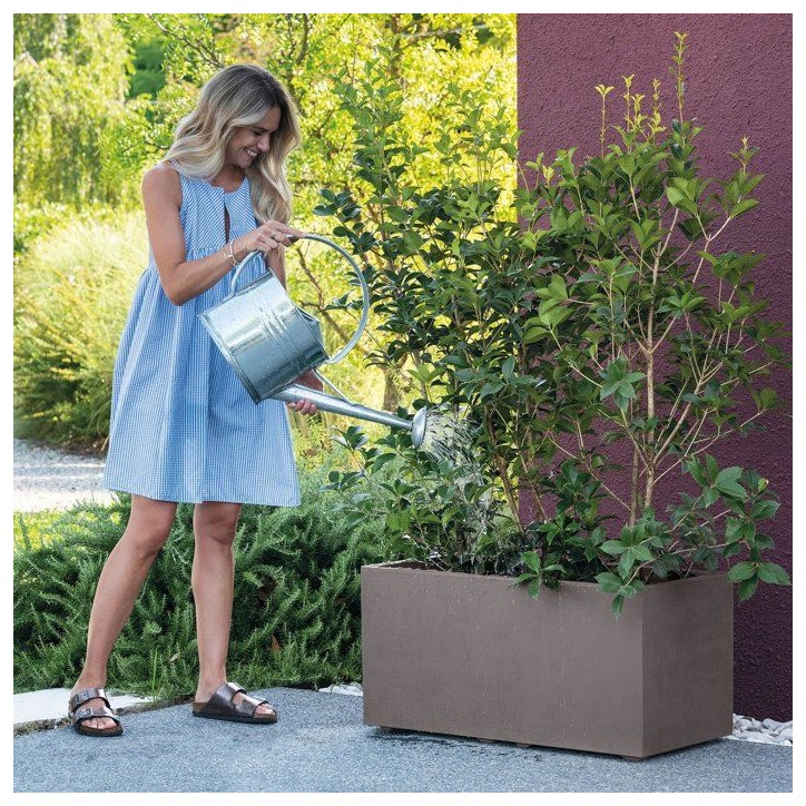 Pot de fleurs rectangulaire - DEROMA - Millennium - 97 L - 99 cm - A réserve d'eau et roulettes - Marron Pot de fleurs rectangulaire - DEROMA - Millennium - 97 L - 99 cm - A réserve d'eau et roulettes - Marron