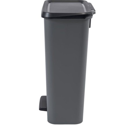 Pédale de tri a pédale Duo - CURVER - COMPATTA - 23 L + 23 L - Gris anthracite - Polypropylene