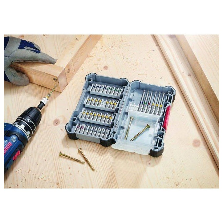 Embout de tournevis - Bosch Professional - 2607017464 - 40 pieces - Acier modifié S2 - Personnalisable