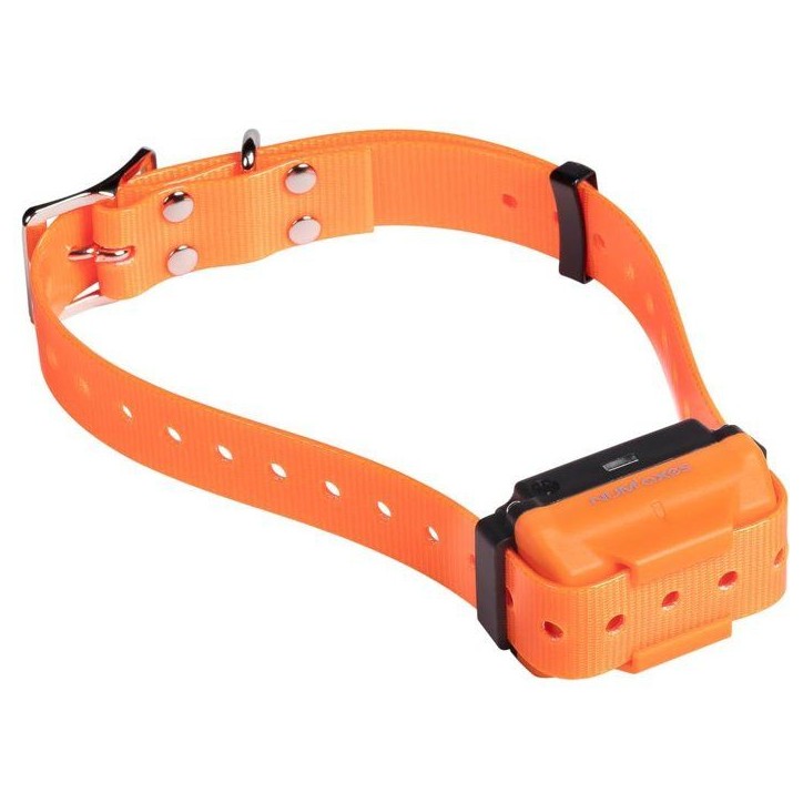 Ensemble complet de dressage - NUM'AXES - CANICOM R-800 - Pour chien - Rechargeable - Orange