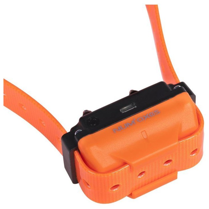 Ensemble complet de dressage - NUM'AXES - CANICOM R-800 - Pour chien - Rechargeable - Orange