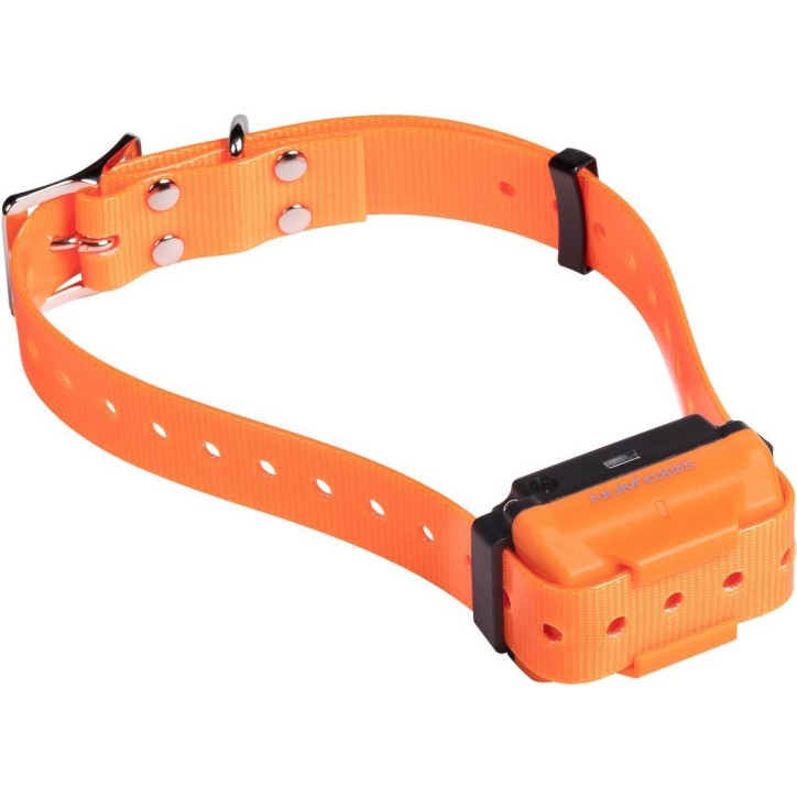 Collier de dressage - NUM'AXES - CANICOM R - Orange