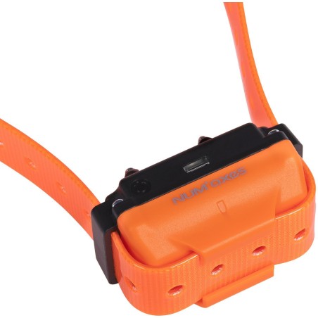 Collier de dressage - NUM'AXES - CANICOM R - Orange