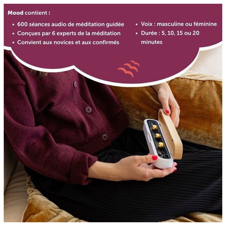 Box méditation Mood - MORPHEE - 600 audios - 10 themes Box méditation Mood - MORPHEE - 600 audios - 10 themes
