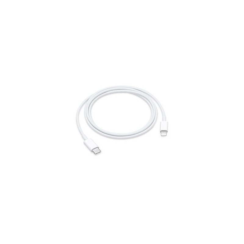 Câble USB-C vers Lightning (1?m) Apple original