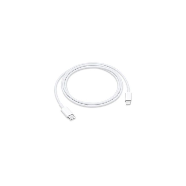 Câble USB-C vers Lightning (1?m) Apple original