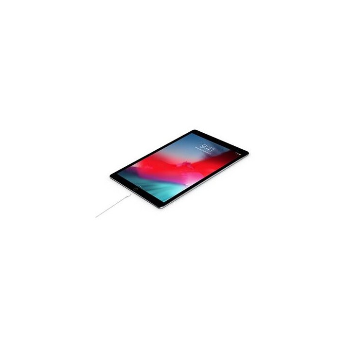 Câble USB-C vers Lightning (1?m) Apple original