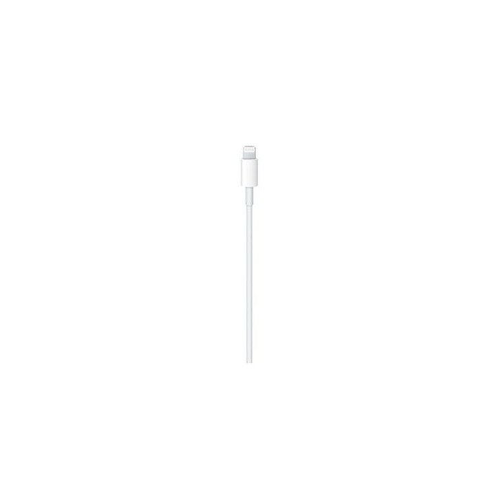 Câble USB-C vers Lightning (1?m) Apple original
