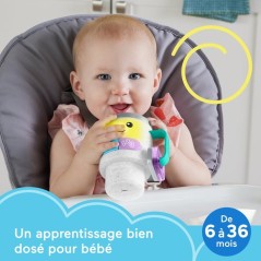 Balle eveil - balle d'activites Fisher-price - HXF49