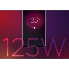Chargeur - MOTOROLA - Moto charger - 125 W - Charge rapide - USB-C ver