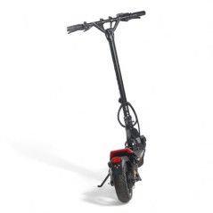Trottinette électrique - DUALTRON - Aminia Special - 1000 W - Pneus 9