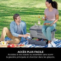 Glaciere roulante FB151EUGY FrostVault - NINJA - Rigide - 47L - Grise