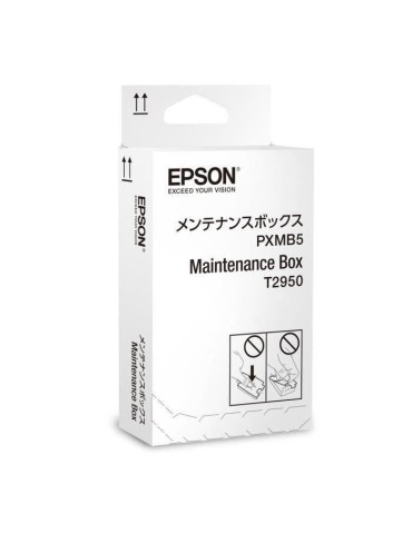 Récupérateur d'encre usagée - EPSON - C13T295000 - Pour Epson WorkForce WF-100, WF-100W, WF-110W - Jet d'encre