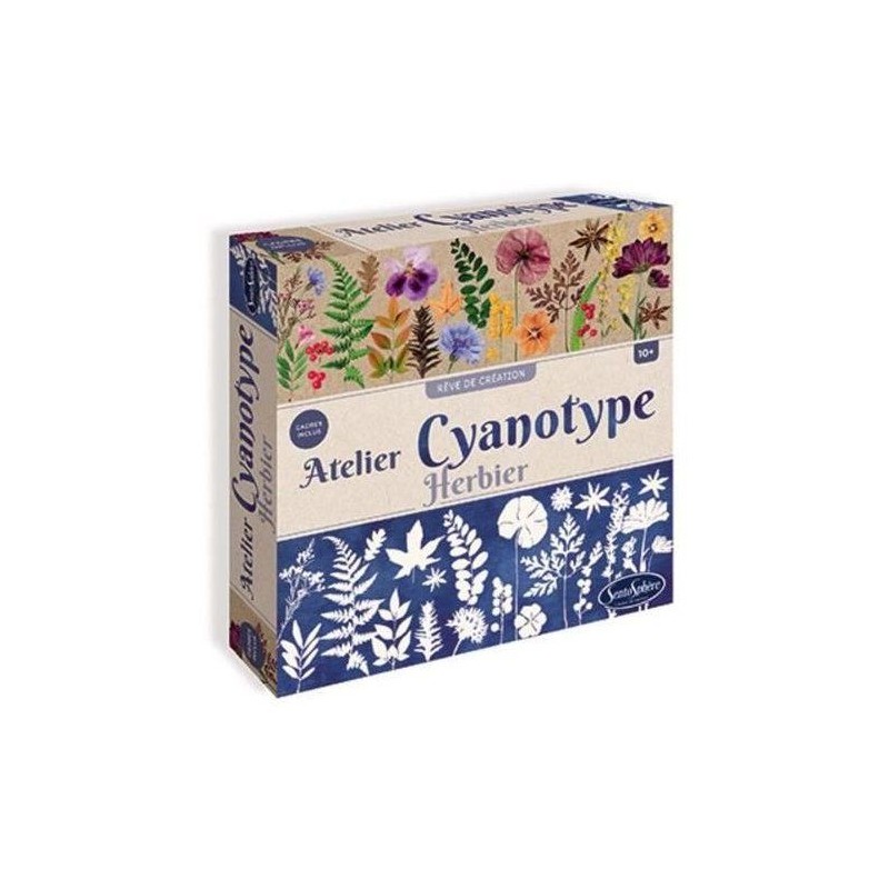 Kit loisir créatif - SENTOSPHERE - Atelier Cyanotype Herbier - Procé