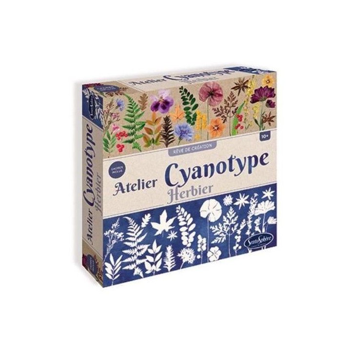Kit loisir créatif - SENTOSPHERE - Atelier Cyanotype Herbier - Procédé Photographique qui réagit a la lumiere - Des 14 ans Kit loisir créatif - SENTOSPHERE - Atelier Cyanotype Herbier - Procédé Photographique qui réagit a la lumiere - Des 14 ans