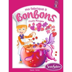 Kit créatif alimentaire - SENTOSPHERE - Mini Fabrique a bonbons - Fru