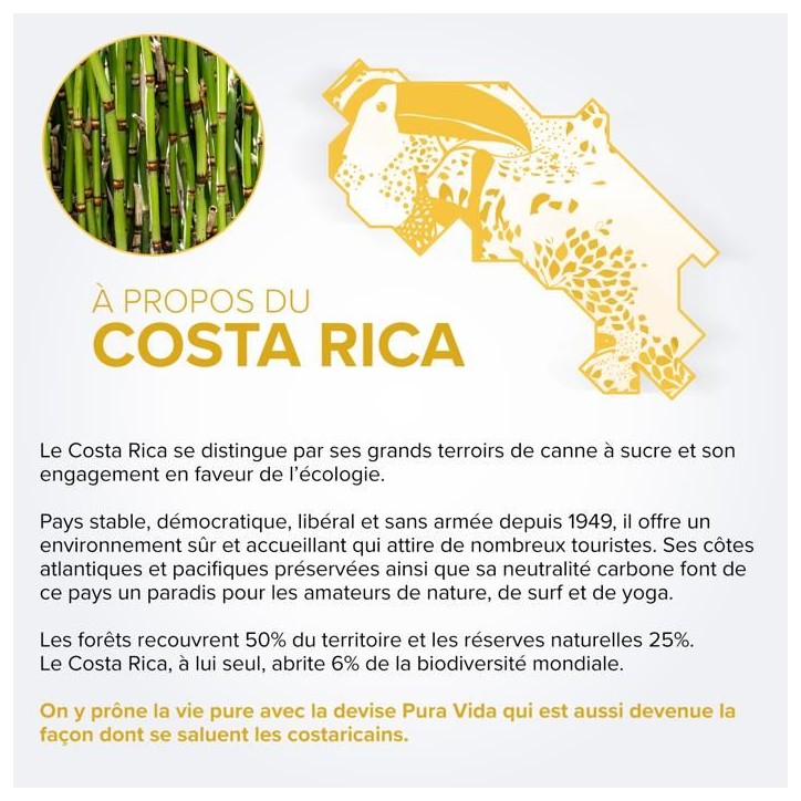 PURA VIDA - X.A - Rhum Brun - 40 % Alcool - Origine : Costa Rica - Bouteille 70 cl PURA VIDA - X.A - Rhum Brun - 40 % Alcool - Origine : Costa Rica - Bouteille 70 cl