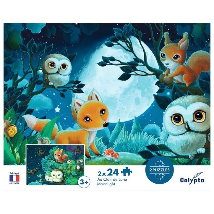 2 Puzzles - SENTOSPHERE - 24 pieces - Au clair de Lune - Observation - Mémoire - Logique - Des 3 ans 2 Puzzles - SENTOSPHERE - 24 pieces - Au clair de Lune - Observation - Mémoire - Logique - Des 3 ans
