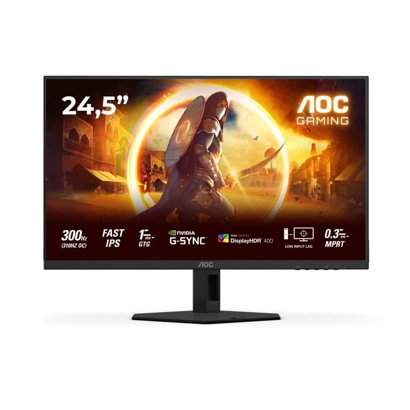 Ecran PC Gamer - AOC - FHD - 24,5'' - 300Hz- Fast IPS - 0,3ms - 25G4SR