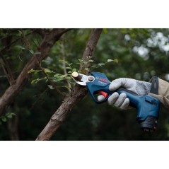 Élagueur sans fil Pro Pruner GGP 12V-25 Professional avec 2 Batteries