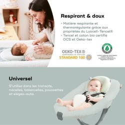 Cale tete bébé - BABYMOOV - Cosyhead - Morphologique pour bébé - C