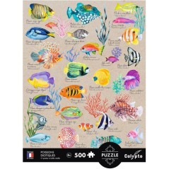 Puzzle - SENTOSPHERE - Calypto - 500 pieces - Poissons exotiques - Tou