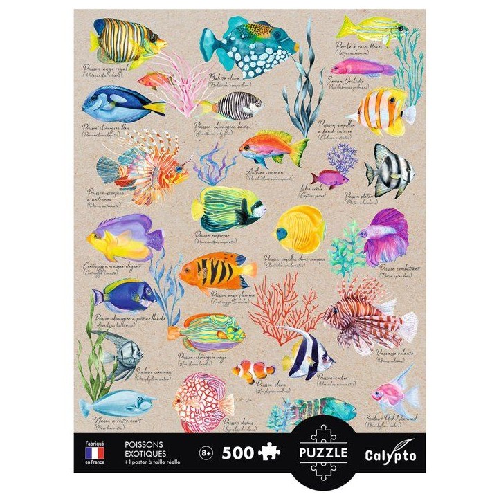 Puzzle - SENTOSPHERE - Calypto - 500 pieces - Poissons exotiques - Toucher soyeux - Des 8 ans Puzzle - SENTOSPHERE - Calypto - 500 pieces - Poissons exotiques - Toucher soyeux - Des 8 ans