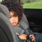 Siege auto - BABYAUTO - SCUDDA GREY DOBBY - De la naissance a 12 ans - 0-36 kg - I-Size - ISOFIX - Pivotant 360° - ECE R129
