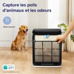 Purificateur d'air - LEVOIT - Vital 100S - Smart HEPA - White
